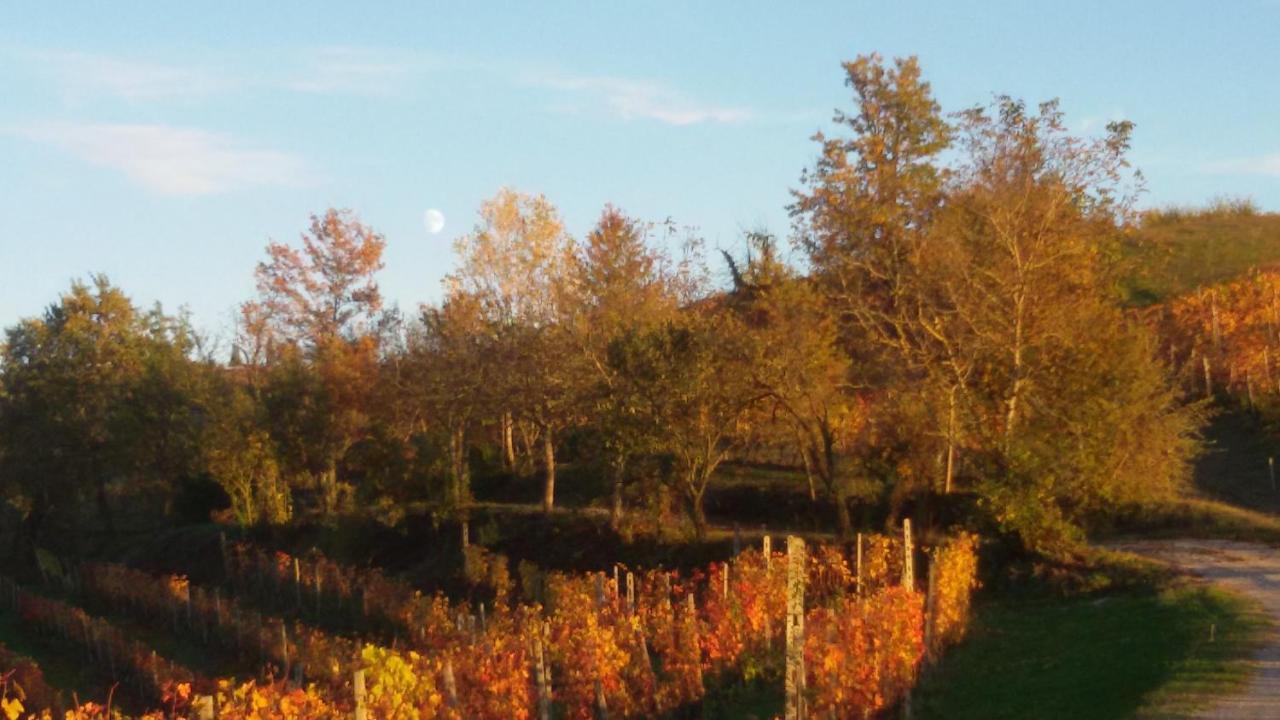 Cascina Torello Bed and Breakfast Dogliani Buitenkant foto