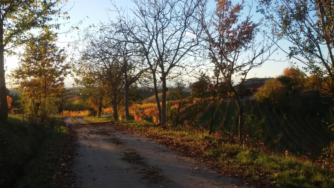 Cascina Torello Bed and Breakfast Dogliani Buitenkant foto