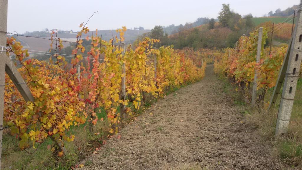 Cascina Torello Dogliani Buitenkant foto