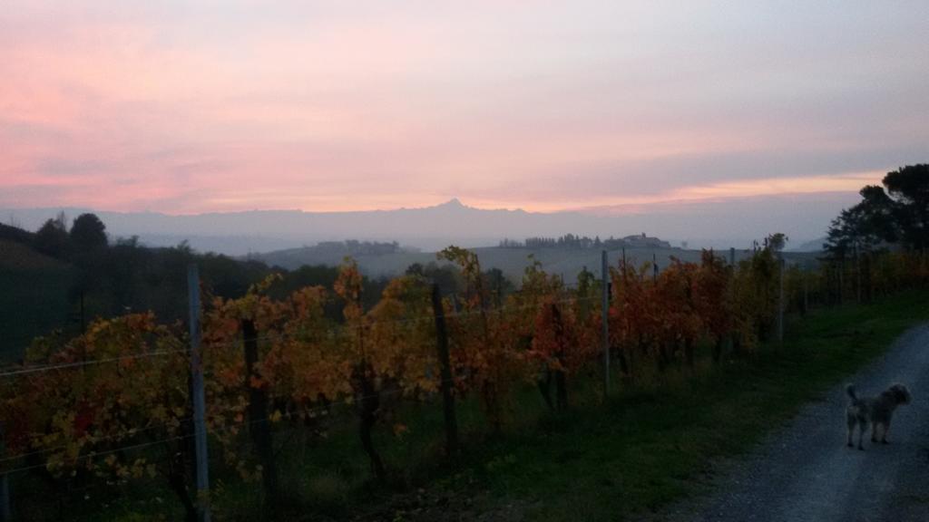 Cascina Torello Dogliani Buitenkant foto