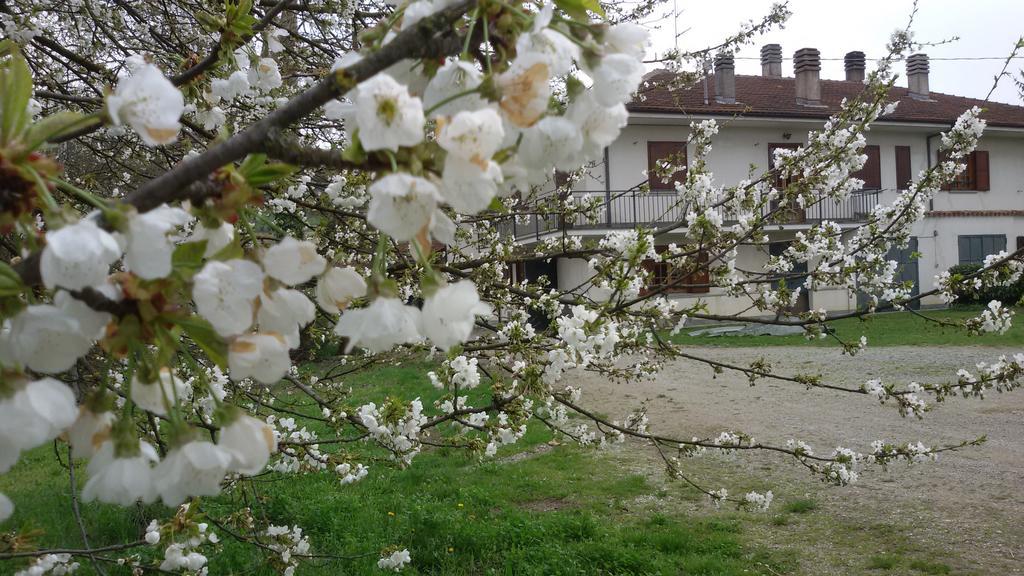 Cascina Torello Bed and Breakfast Dogliani Buitenkant foto