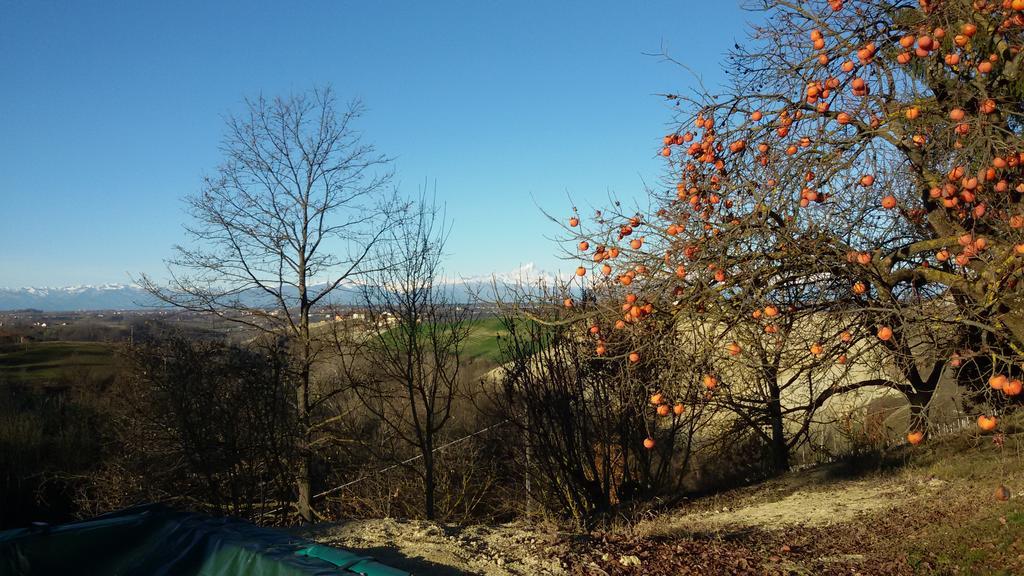 Cascina Torello Dogliani Buitenkant foto
