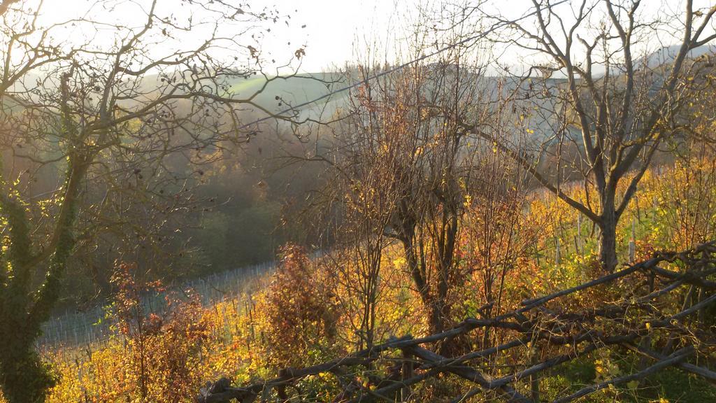 Cascina Torello Bed and Breakfast Dogliani Buitenkant foto