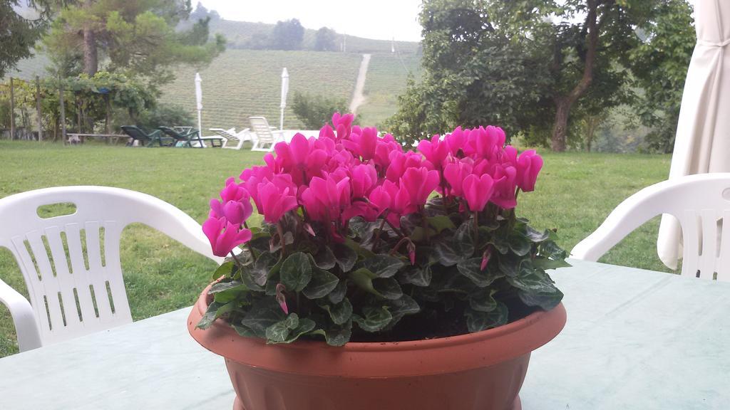 Cascina Torello Dogliani Buitenkant foto