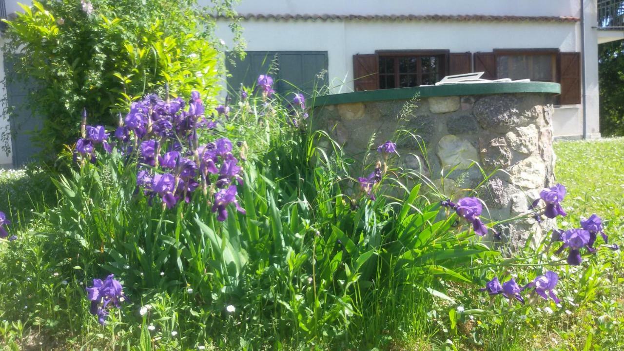 Cascina Torello Dogliani Buitenkant foto