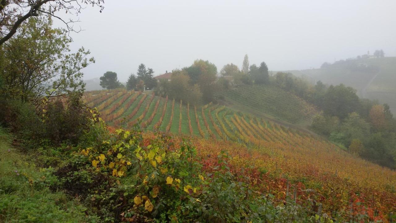 Cascina Torello Bed and Breakfast Dogliani Buitenkant foto