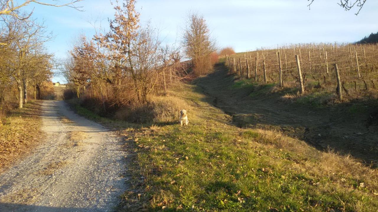 Cascina Torello Bed and Breakfast Dogliani Buitenkant foto